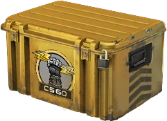 CS2 Glove Case artwork