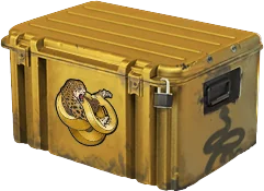 CS2 Operation Broken Fang Case artwork